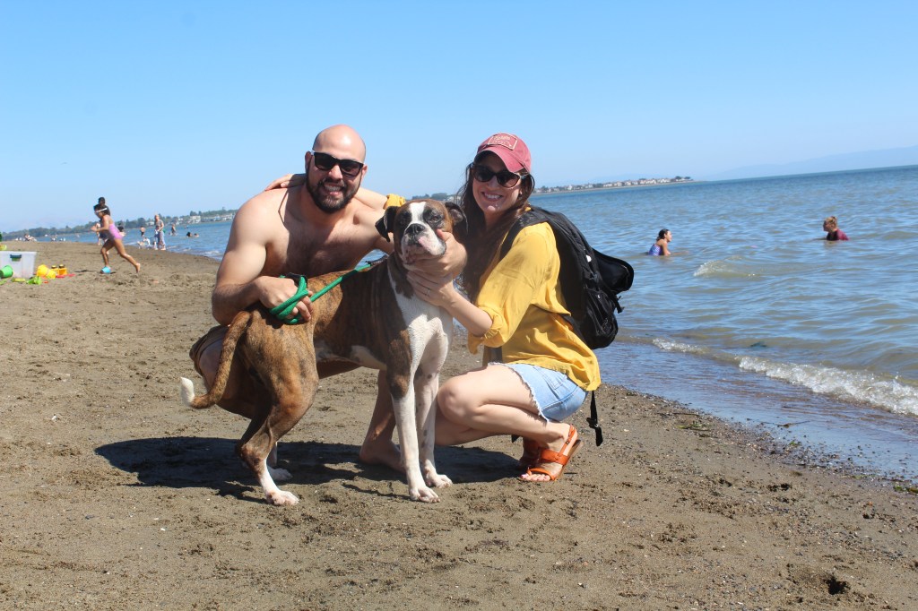 Family of Boxers Breeders in California
