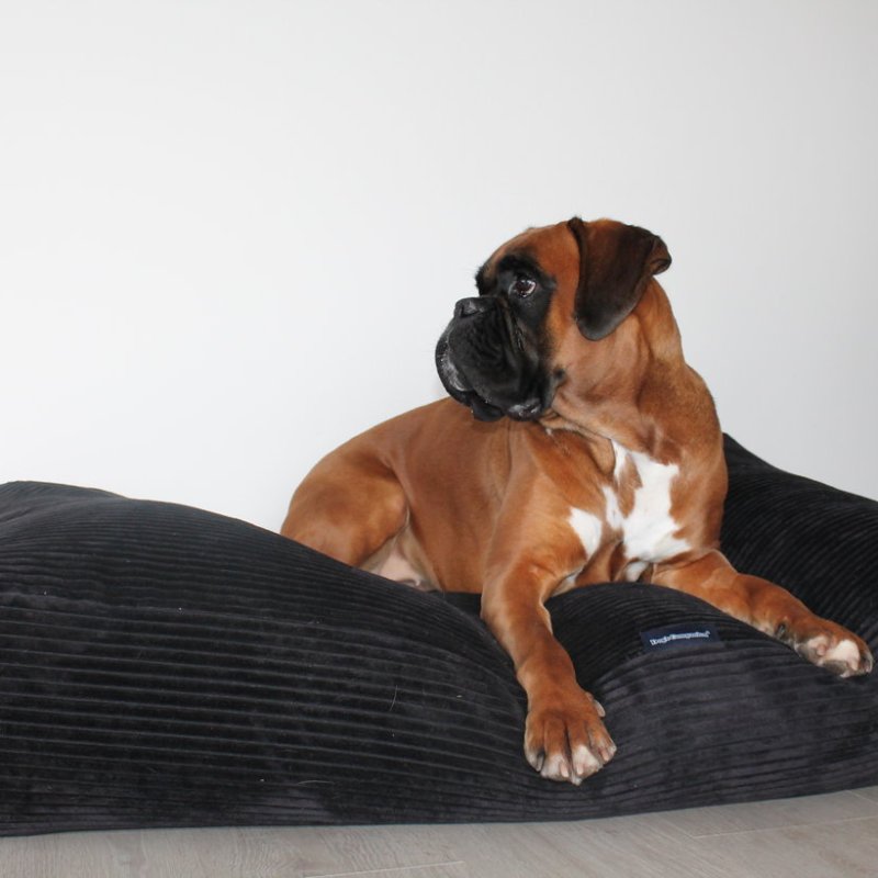 Choosing the Best Beds for Boxer Puppy&nbsp;Dog