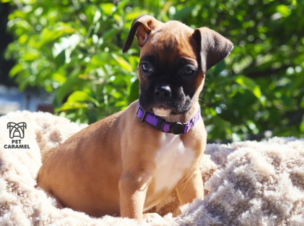 cute female black mask